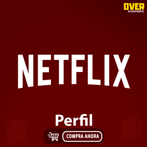 NETFLIX PERFIL INTERNACIONAL